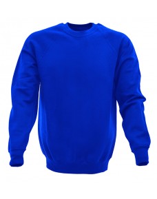 Kids Raglan Sweatshirt